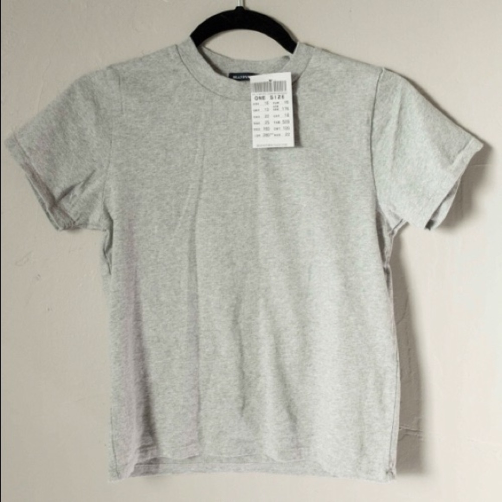 Brandy Melville John Galt brand new Grey Top